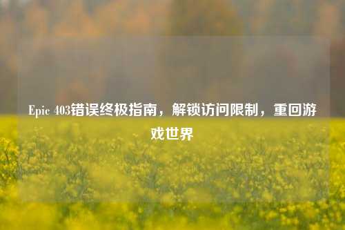 Epic 403错误终极指南，解锁访问限制，重回游戏世界