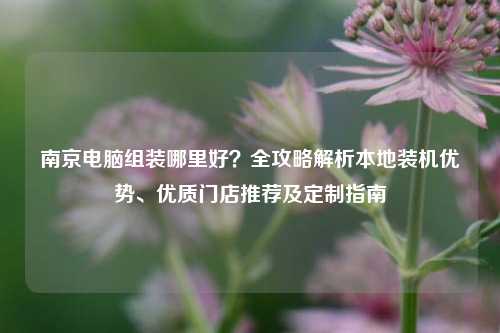 南京电脑组装哪里好？全攻略解析本地装机优势、优质门店推荐及定制指南