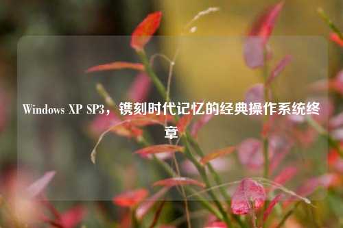 Windows XP SP3,镌刻时代记忆的经典操作系统终章