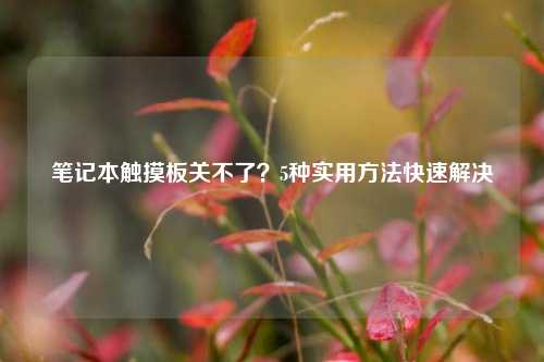 笔记本触摸板关不了？5种实用方法快速解决