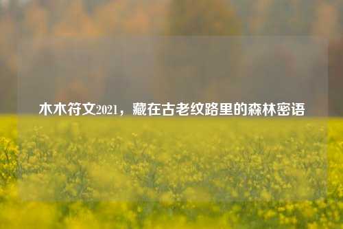 木木符文2021,藏在古老纹路里的森林密语