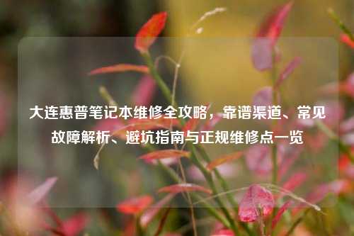 大连惠普笔记本维修全攻略,靠谱渠道、常见故障解析、避坑指南与正规维修点一览