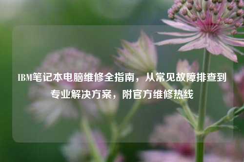 IBM笔记本电脑维修全指南，从常见故障排查到专业解决方案，附官方维修热线