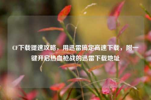 CF下载提速攻略，用迅雷搞定高速下载，附一键开启热血枪战的迅雷下载地址
