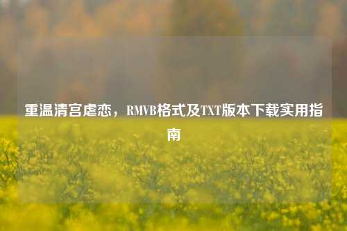 重温清宫虐恋，RMVB格式及TXT版本下载实用指南