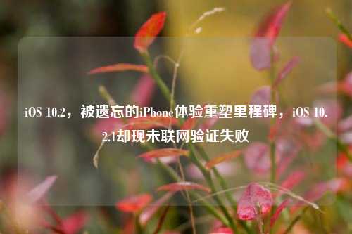 iOS 10.2,被遗忘的iPhone体验重塑里程碑,iOS 10.2.1却现未联网验证失败