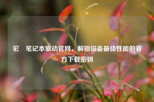 宏碁笔记本驱动官网，解锁设备最佳性能的官方下载密钥