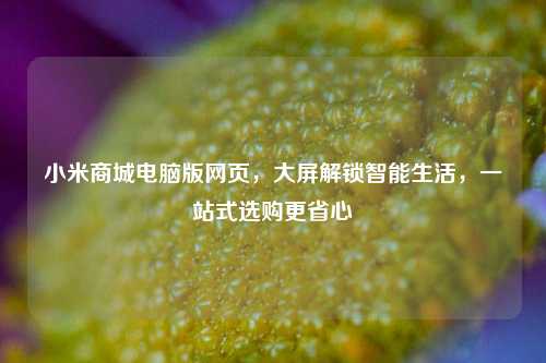 小米商城电脑版网页，大屏解锁智能生活，一站式选购更省心