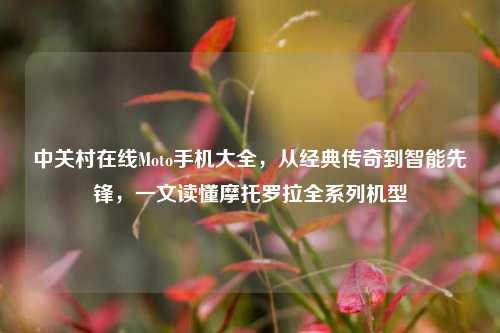 中关村在线Moto手机大全，从经典传奇到智能先锋，一文读懂摩托罗拉全系列机型