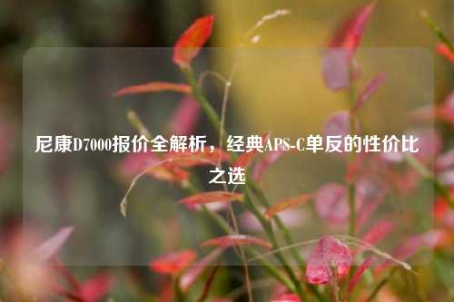 尼康D7000报价全解析，经典APS-C单反的性价比之选
