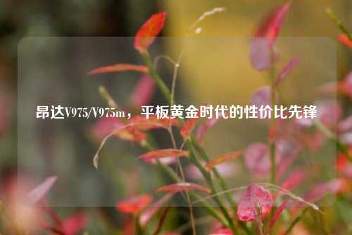昂达V975/V975m,平板黄金时代的性价比先锋