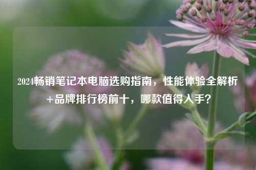 2024畅销笔记本电脑选购指南，性能体验全解析+品牌排行榜前十，哪款值得入手？