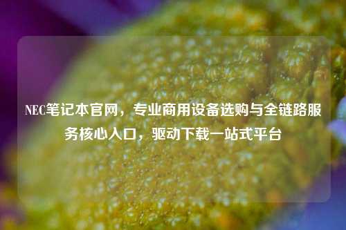 NEC笔记本官网，专业商用设备选购与全链路服务核心入口，驱动下载一站式平台