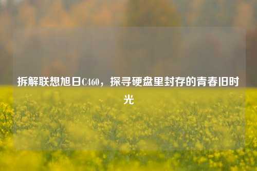 拆解联想旭日C460,探寻硬盘里封存的青春旧时光