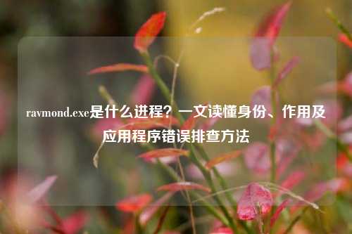 ravmond.exe是什么进程？一文读懂身份、作用及应用程序错误排查方法