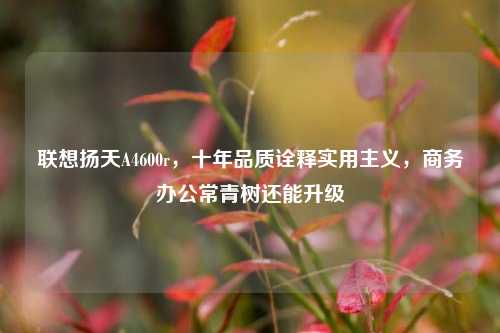 联想扬天A4600r,十年品质诠释实用主义,商务办公常青树还能升级