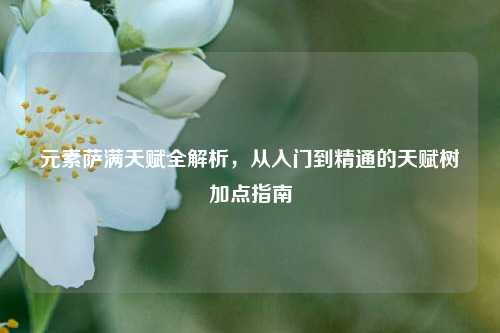 元素萨满天赋全解析，从入门到精通的天赋树加点指南
