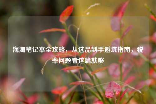 海淘笔记本全攻略，从选品到手避坑指南，税率问题看这篇就够
