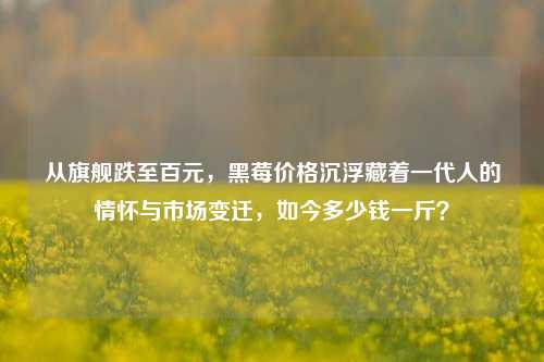从旗舰跌至百元，黑莓价格沉浮藏着一代人的情怀与市场变迁，如今多少钱一斤？