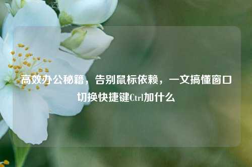 高效办公秘籍,告别鼠标依赖,一文搞懂窗口切换快捷键Ctrl加什么