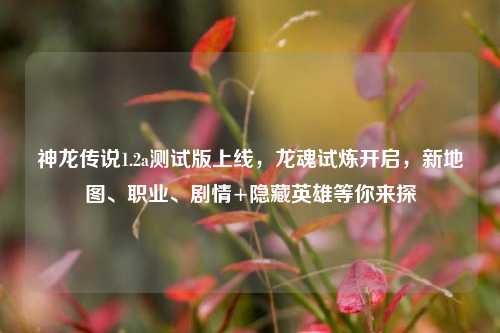 神龙传说1.2a测试版上线,龙魂试炼开启,新地图、职业、剧情+隐藏英雄等你来探