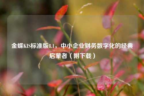 金蝶KIS标准版8.1，中小企业财务数字化的经典启蒙者（附下载）