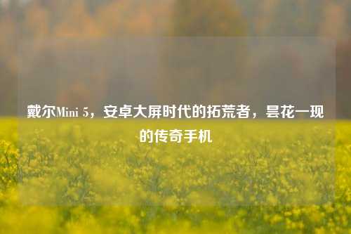 戴尔Mini 5,安卓大屏时代的拓荒者,昙花一现的传奇手机
