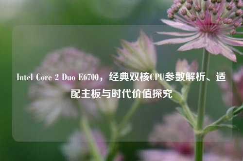 Intel Core 2 Duo E6700,经典双核CPU参数解析、适配主板与时代价值探究