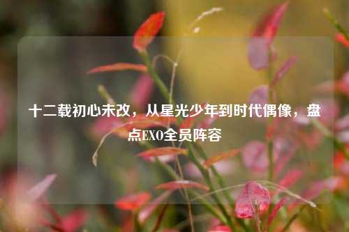 十二载初心未改,从星光少年到时代偶像,盘点EXO全员阵容