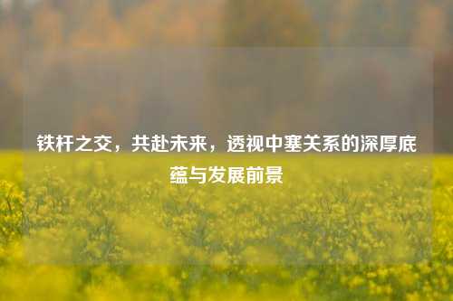 铁杆之交,共赴未来,透视中塞关系的深厚底蕴与发展前景