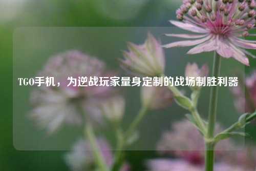 TGO手机,为逆战玩家量身定制的战场制胜利器