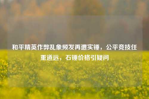 和平精英作弊乱象频发再遭实锤,公平竞技任重道远,石锤价格引疑问