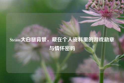 Steam大白腿背景，藏在个人资料里的游戏勋章与情怀密码