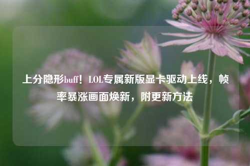 上分隐形buff！LOL专属新版显卡驱动上线，帧率暴涨画面焕新，附更新方法