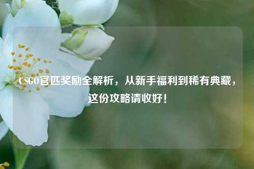CSGO官匹奖励全解析，从新手福利到稀有典藏，这份攻略请收好！