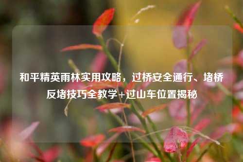 和平精英雨林实用攻略，过桥安全通行、堵桥反堵技巧全教学+过山车位置揭秘