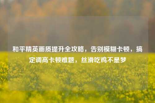 和平精英画质提升全攻略，告别模糊卡顿，搞定调高卡顿难题，丝滑吃鸡不是梦