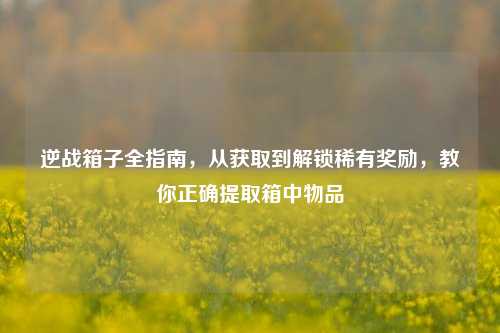逆战箱子全指南,从获取到解锁稀有奖励,教你正确提取箱中物品