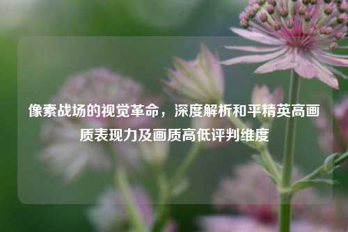 像素战场的视觉革命,深度解析和平精英高画质表现力及画质高低评判维度