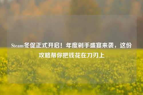 Steam冬促正式开启！年度剁手盛宴来袭，这份攻略帮你把钱花在刀刃上