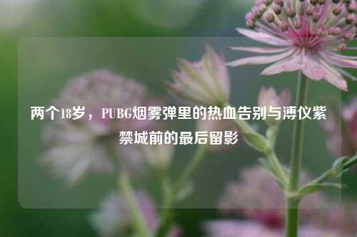 两个18岁,PUBG烟雾弹里的热血告别与溥仪紫禁城前的最后留影