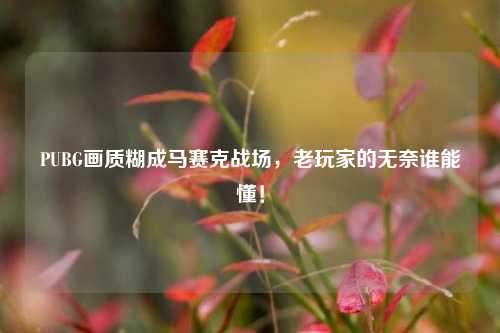 PUBG画质糊成马赛克战场,老玩家的无奈谁能懂!