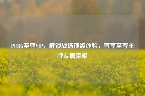 PUBG至尊VIP，解锁战场顶级体验，尊享至尊王牌专属荣耀