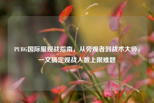 PUBG国际服观战指南,从旁观者到战术大师,一文搞定观战人数上限难题