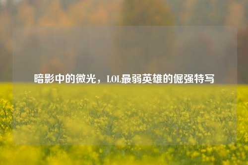 暗影中的微光,LOL最弱英雄的倔强特写