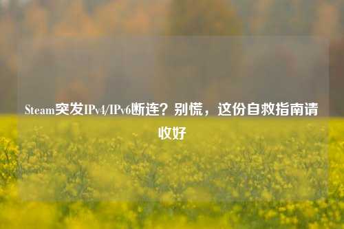 Steam突发IPv4/IPv6断连？别慌，这份自救指南请收好