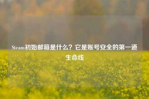 Steam初始邮箱是什么？它是账号安全的第一道生命线