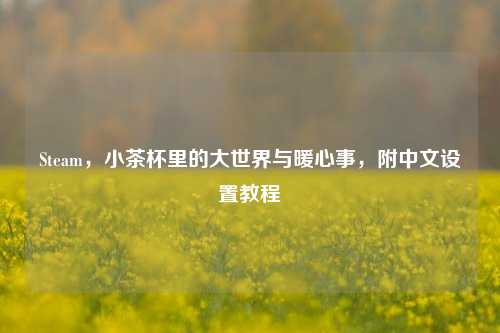 Steam,小茶杯里的大世界与暖心事,附中文设置教程