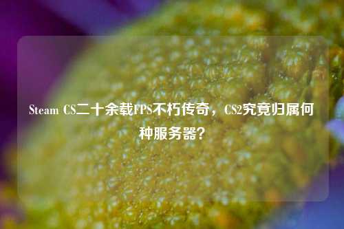 Steam CS二十余载FPS不朽传奇,CS2究竟归属何种服务器?