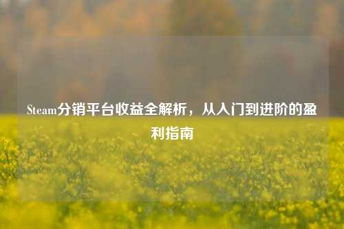 Steam分销平台收益全解析,从入门到进阶的盈利指南
